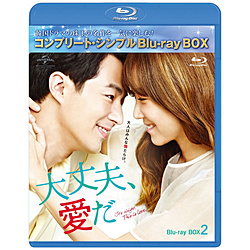 大丈夫、愛だ BD-BOX2 ＜コンプリート・シンプルBD-BOX6，000円シリーズ＞