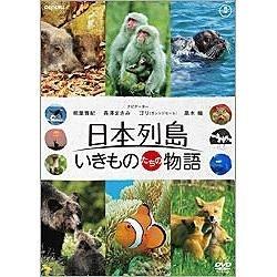{ ̂̕ ʏ yDVDz   mDVDn DVD