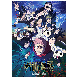 【特典対象】 呪術廻戦 死滅回游 前編 Vol.4 BD◆メーカー全巻購入特典「描き下ろし全巻収納BOX」