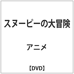 Xk[s[̑` DVD