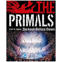 祖堅正慶/THE PRIMALS/ THE PRIMALS Live in Japan - Darkest Before Dawn