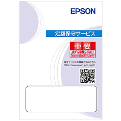EPSON(�G�v�\��) �G�v�\������ێ�p�b�N �w������5�N KDS710005