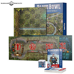 BLOOD BOWL�FGNOME TEAM DICE�i�u���b�h�{�E���F�m�[���E�`�[���E�_�C�X�j