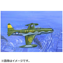 1/48 �G�A�N���t�g RF-80A �V���[�e�B���O�X�^�[