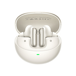 BESEUS SCXCz Inspire XP1 zCg XP1W mCX(E) /mCYLZOΉ /BluetoothΉn