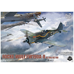 1/35 フォッケウルフ Fw190 A-8 4in1(R2/R6/R7/R8)