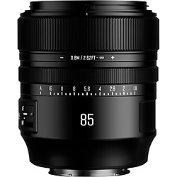 sony 85mmf1.8」の人気商品一覧 | 安い商品を通販サイトから探す