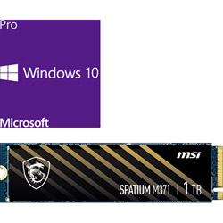 DSP版 Windows 10 Pro 64bit+MSI SPATIUM M371 NVMe M.2 1TB