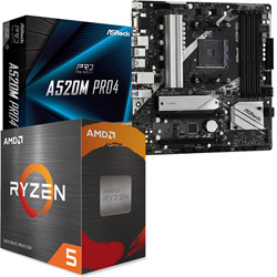 AMD Ryzen 5 5600X +A520M Pro4
