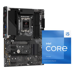 Core i5-13500 + Z790 PG Lightning