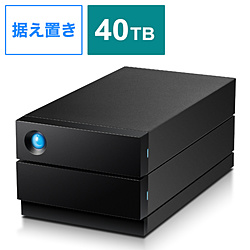 STHJ40000800 外付けHDD USB-C接続 2big RAID(Mac/Windows11対応)  ［40TB /据え置き型］