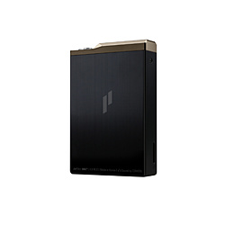 デジタルオーディオプレーヤー PLENUE Gold Black PD2-64G-GB [64GB /ハイレゾ対応] PD2-64G-GB Gold Black ［64GB /ハイレゾ対応 /Micro　USBケーブル、クイックガイド、品質保証書］