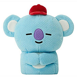 BT21 HOLE IN ONE DRIVER用ヘッドカバー KOYA BT21  73001-430-005