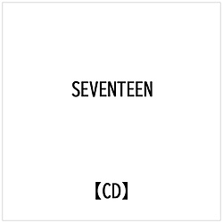 SEVENTEEN： FACE THE SUN： SEVENTEEN Vol.4CARAT VER