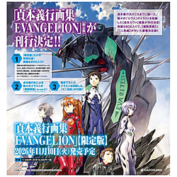 ��{�`�s��W EVANGELION[�����]