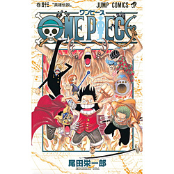 ONE PIECE  43