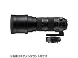 カメラレンズ　150-600mm F5-6.3 DG OS HSM Sports テレコンバーターキット【ニコンFマウント】
