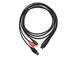 �t���y���^�u���b�g Artist 15.6 Pro/15.6/13.3 Pro/13.3/12 Pro/10S�Ή� 3-in-1 �P�[�u���iI���^�j   SPE40