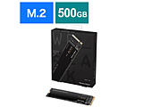 WD Black SN750 NVMe SSD WDS500G3X0C (SSD/M.2 2280/500GB)