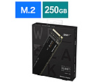 WD Black SN750 NVMe SSD WDS250G3X0C (SSD/M.2 2280/250GB)