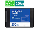 SSD SATAڑ WD Blue SA510  WDS250G3B0A m250GB /2.5C`n