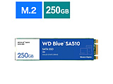 内蔵SSD WD Blue SA510  WDS250G3B0B ［250GB /M.2］