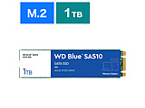 内蔵SSD PCI-Express接続 WD Blue SA510  WDS100T3B0B ［1TB /M.2］ 【sof001】