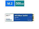 内蔵SSD WD Blue SA510  WDS500G3B0B ［500GB /M.2］