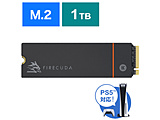 内蔵SSD PCI-Express接続 FireCuda 530(ヒートシンク付 /PS5対応)  ZP1000GM3A023 ［1TB /M.2］ 【864】