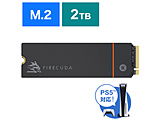 内蔵SSD PCI-Express接続 FireCuda 530(ヒートシンク付 /PS5対応)  ZP2000GM3A023 ［2TB /M.2］ 【sof001】