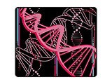 �Q�[�~���O�}�E�X�p�b�h [490��400��6mm] Minerva DNA XL�T�C�Y Pink Black xr-minerva-dna-pink-black-xl