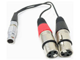 ATOMCAB017 XLR Breakout Cable Input only