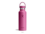 {g 18 oz Standard Mouth  Reef #5089013