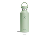 {g 18 oz Standard Mouth  Aloe #5089013
