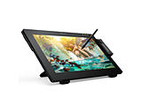 LPH2412U-A ty^ubg [24^] USB-C{USB-A / DisplayPort / HDMIڑ Pen Display 24C`(Mac/Windows11Ή) ubN