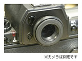 ی`ACs[XijRD1/D2/D3pj@EP-NSI