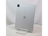 kÕil iPad Pro 12.9C` 5 128GB Vo[ MHNG3J^A Wi-Fi m12.9C`t^Apple M1n