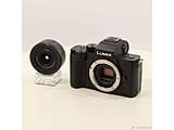 kÕil LUMIX DC-G100V WY[YLbg ubN