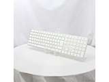kÕil AppleVRMacfp Touch ID Magic Keyboard (eL[t) { zCgL[ MXK73J^A