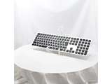 kÕil AppleVRMacfpTouch IDMagic Keyboard(eL[t)
