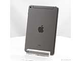 kÕil iPad mini 5 256GB Xy[XOC MUXC2J^A SIMt[ m7.9C`t^A12 Bionicn