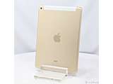kÕil iPad Air 2 32GB S[h MNVR2J^A docomo m9.7C`t^Apple A8Xn