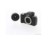 kÕil LUMIX G100 WY[YLbg ubN DC-G100K-K