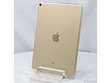 kÕil iPad Pro 10.5C` 256GB S[h MPHJ2J^A SIMt[ m10.5C`t^A10X Fusionn