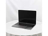 kÕiijl MacBook 12-inch Mid-2017 MNYG2J^A Core_i5 1.3GHz 8GB SSD512GB Xy[XOC k10.15 Catalinal mOtBbNFIntel HD Graphics 615(CPU)^JISL[{[hn