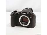�k���Õi�l LUMIX S5II �{�f�B DC-S5M2