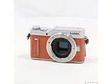 kÕil LUMIX DC-GF10 {fB IW