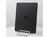 �k���Õi�l iPad Pro 13�C���` ��1���� �W���K���X 256GB �X�y�[�X�u���b�N MVX23J�^A Wi-Fi �m13�C���`�L�@EL�^Apple-M4-9�R�ACPU10�R�AGPU�n