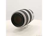 �k���Õi�l Canon EF 70-300mm F4-5.6 L IS USM (�����Y)