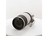 �k���Õi�l RF100-500mm F4.5-7.1 L IS USM